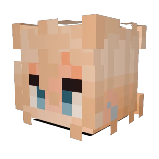 Puggnacity Minecraft avatar head, 3D render