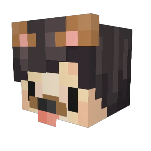Puggs_ Minecraft avatar head, 3D render