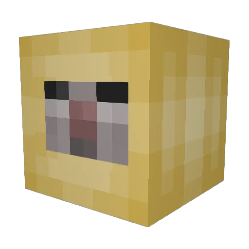 PuggyPug851 Minecraft avatar head, 3D render