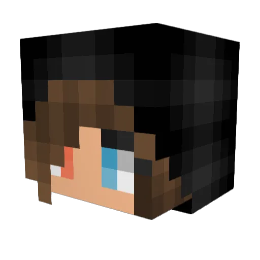 Puggyz Minecraft avatar head, 3D render