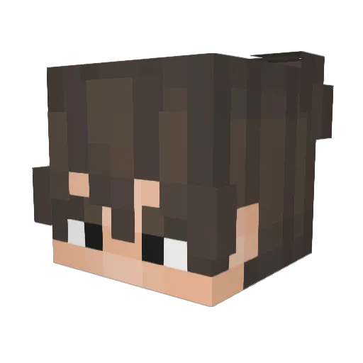 Pughy12 Minecraft avatar head, 3D render
