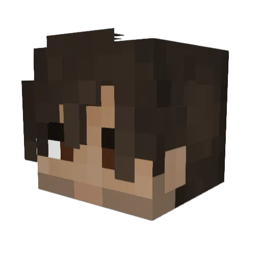 Puglord03 Minecraft avatar head, 3D render