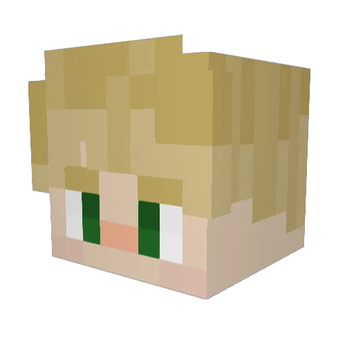 Puglord31 Minecraft avatar head, 3D render