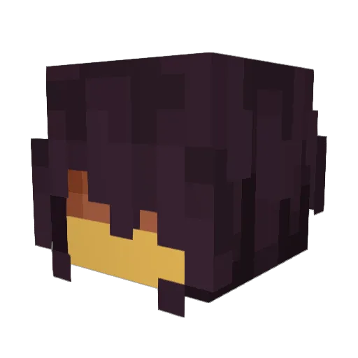 Pugmuguu Minecraft avatar head, 3D render