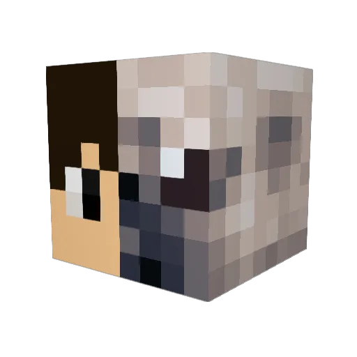 Pugs08 Minecraft avatar head, 3D render