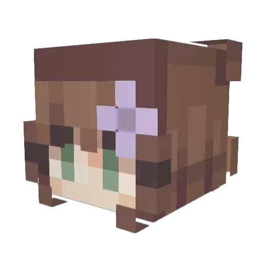 PugsOverDrugs Minecraft avatar head, 3D render