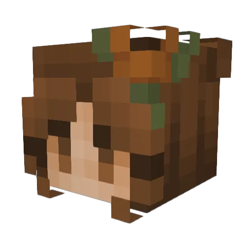Pugsicles Minecraft avatar head, 3D render