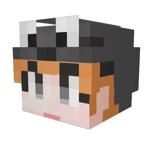 Puhayo Minecraft avatar head, 3D render