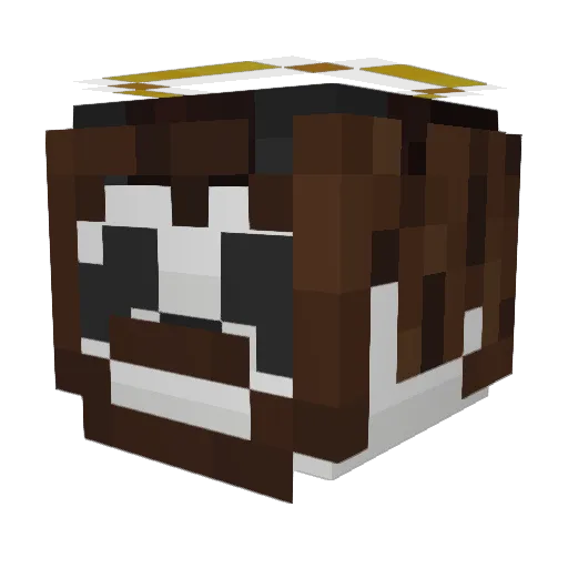 Puhndah Minecraft avatar head, 3D render