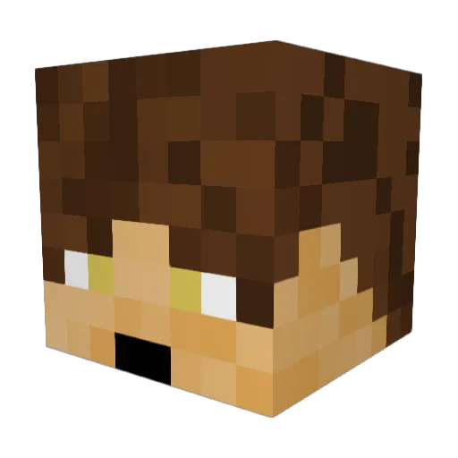 Puilom Minecraft avatar head, 3D render