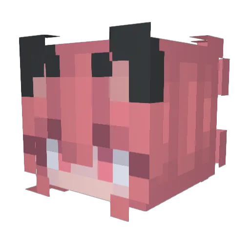 Puippy Minecraft avatar head, 3D render