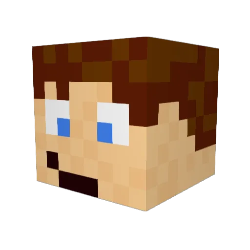 Puipuil29 Minecraft avatar head, 3D render
