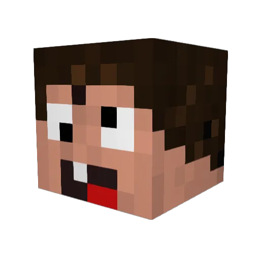 Pujo Minecraft avatar head, 3D render