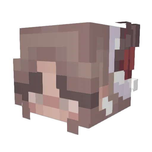 Puka37 Minecraft avatar head, 3D render