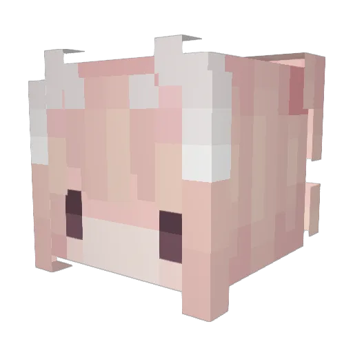 Pukan Minecraft avatar head, 3D render