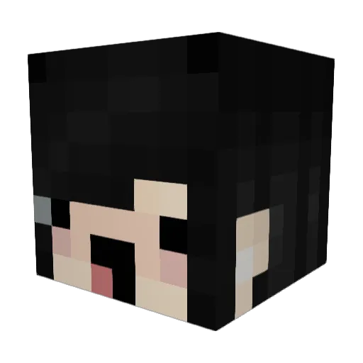 PukeChamber Minecraft avatar head, 3D render