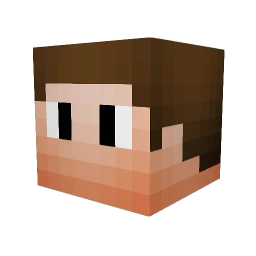 Puki2001 Minecraft avatar head, 3D render