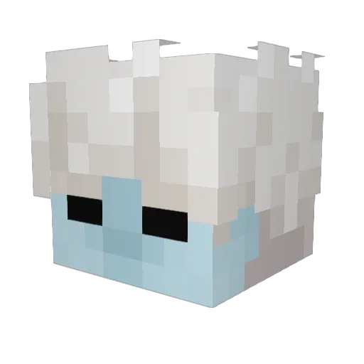 PulVerB Minecraft avatar head, 3D render