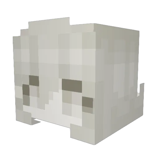 Pul_sarr Minecraft avatar head, 3D render