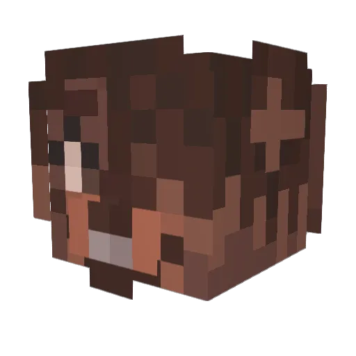 PuliDogs4Life Minecraft avatar head, 3D render