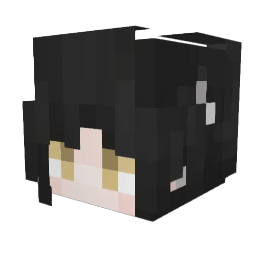 Puliang Minecraft avatar head, 3D render