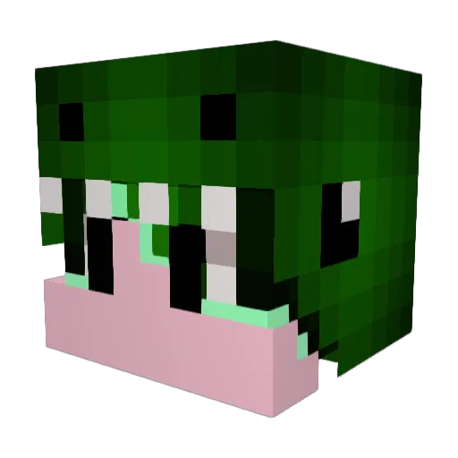 Pulikka Minecraft avatar head, 3D render