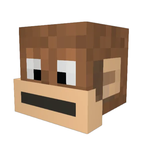 Pulo_Jr Minecraft avatar head, 3D render
