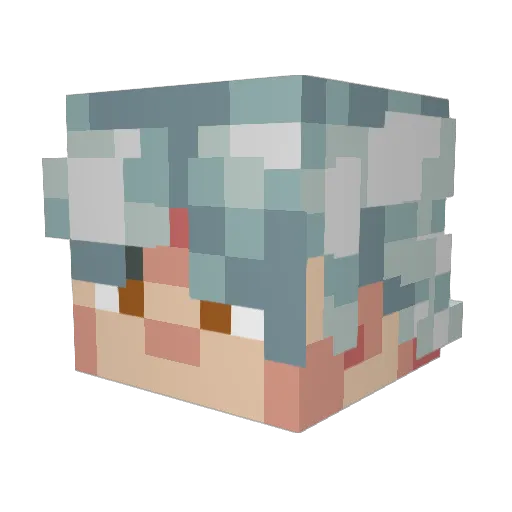 PulsaRr_r Minecraft avatar head, 3D render