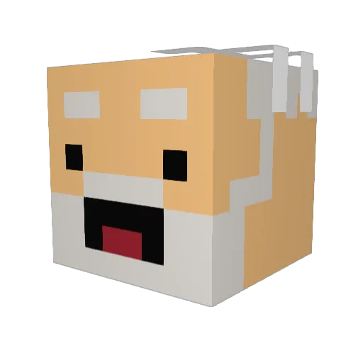 Pulse16 Minecraft avatar head, 3D render