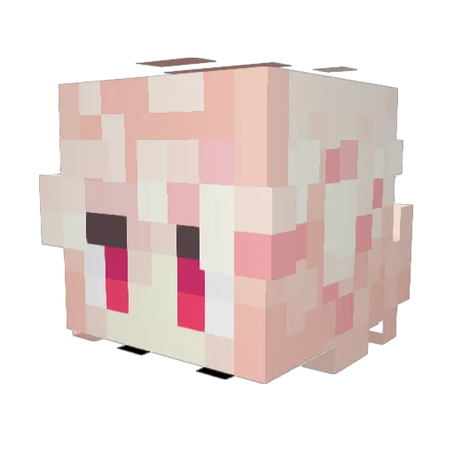 PulseFH Minecraft avatar head, 3D render