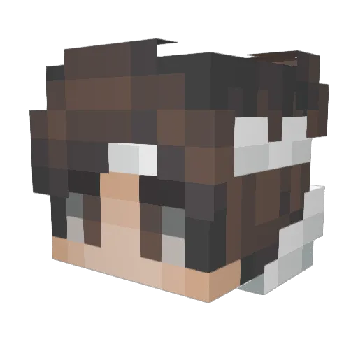Pulza Minecraft avatar head, 3D render