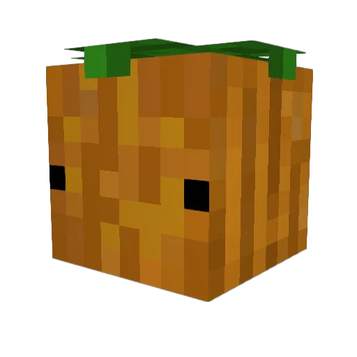 PumPkinPam Minecraft avatar head, 3D render
