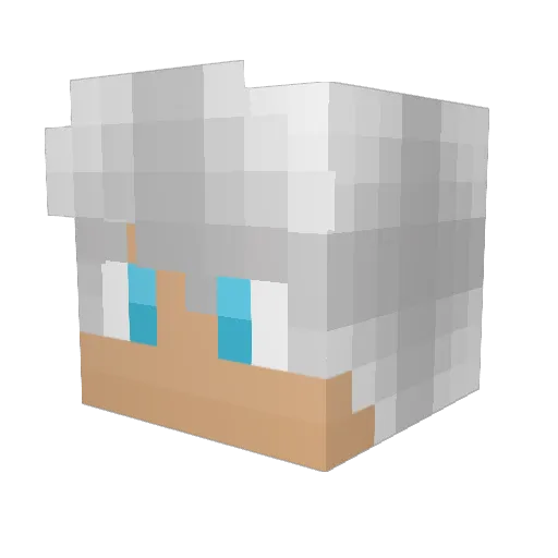 Puma1817 Minecraft avatar head, 3D render