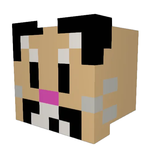 Pumanatic Minecraft avatar head, 3D render