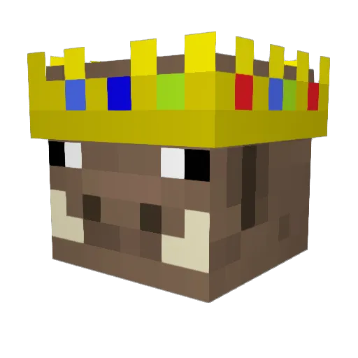 Pumba777 Minecraft avatar head, 3D render