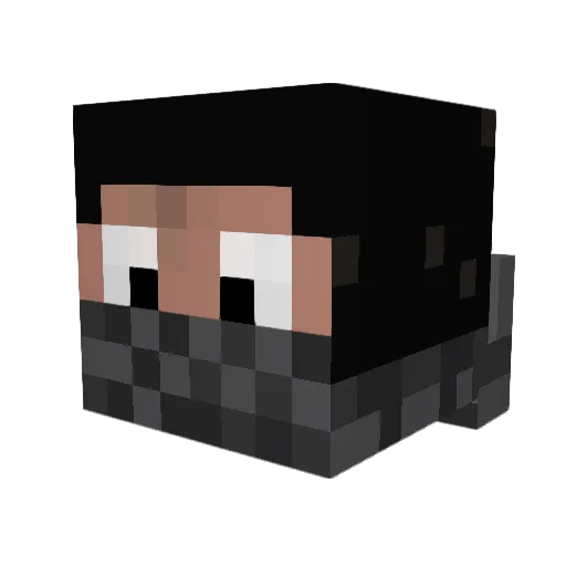 Pumba_005 Minecraft avatar head, 3D render