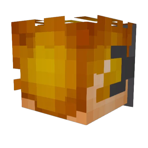 PumkaCekcu Minecraft avatar head, 3D render
