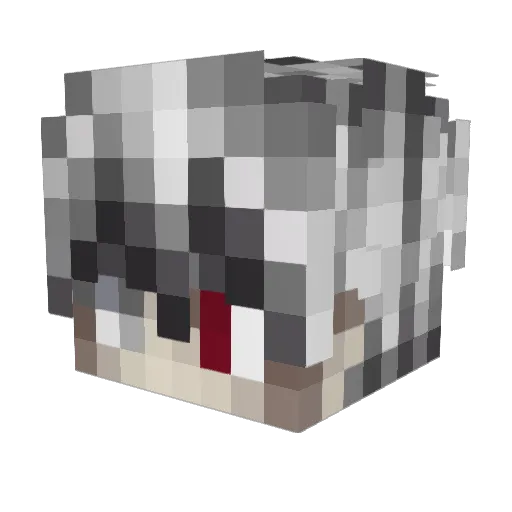 PumkinShin Minecraft avatar head, 3D render