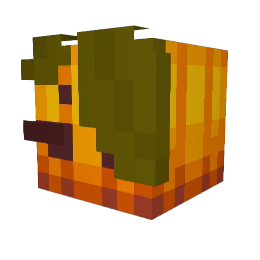 PumkinSpiceee Minecraft avatar head, 3D render