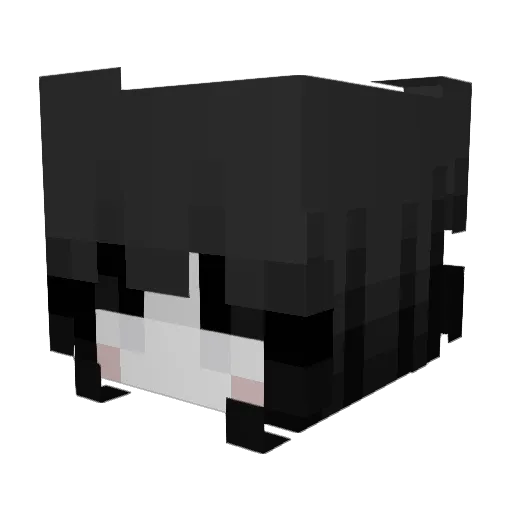 Pumkin_Hallo Minecraft avatar head, 3D render