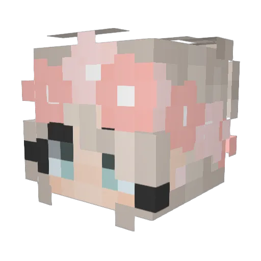 Pumpernickel710 Minecraft avatar head, 3D render