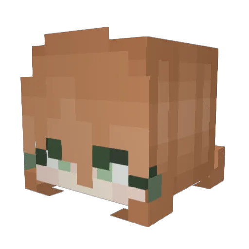 Pumpkim4u Minecraft avatar head, 3D render