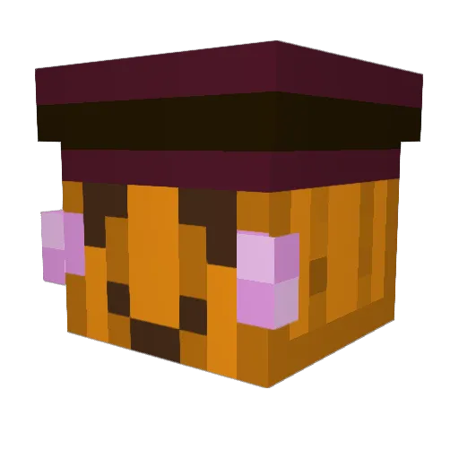 Pumpkin314 Minecraft avatar head, 3D render