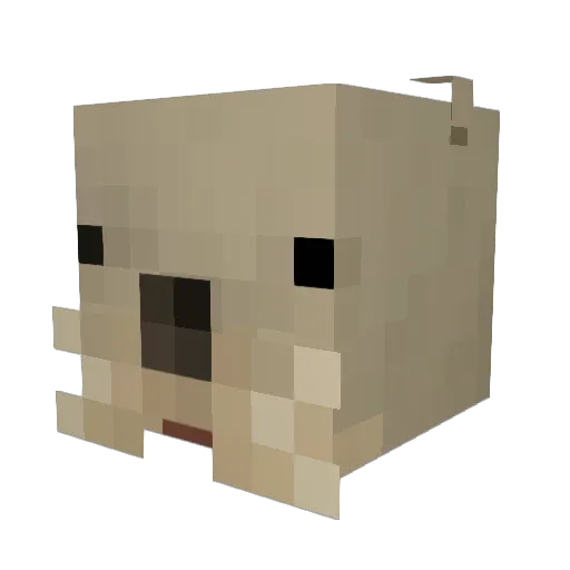 PumpkinDestroyer Minecraft avatar head, 3D render