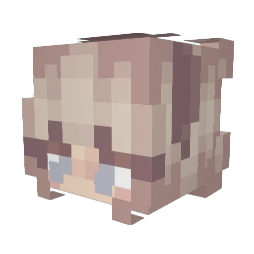 PumpkinFarms Minecraft avatar head, 3D render