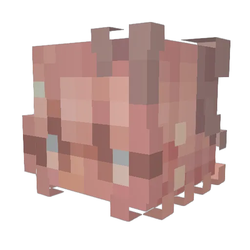 PumpkinMomse Minecraft avatar head, 3D render