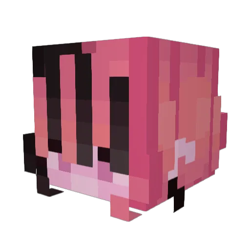 PumpkinWitch93 Minecraft avatar head, 3D render