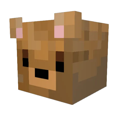Pumpkin_Sauce Minecraft avatar head, 3D render