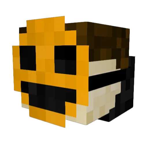 Pumpkin_Vibe Minecraft avatar head, 3D render