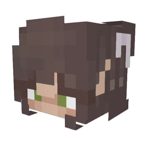 Pumpkin_piy Minecraft avatar head, 3D render